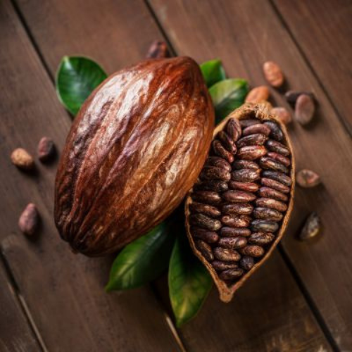 Cocoa Beans