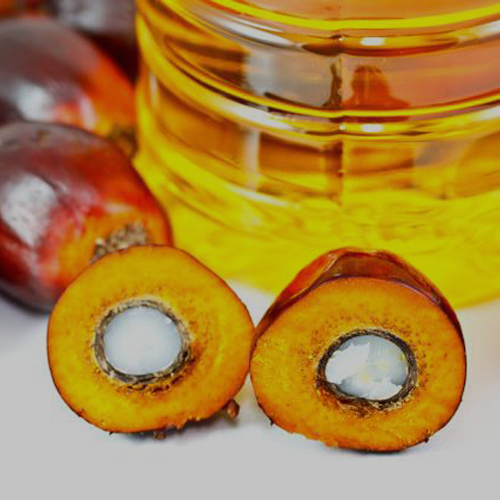 Palm Kernel Oil