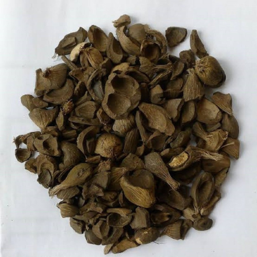 Palm Kernel Shell