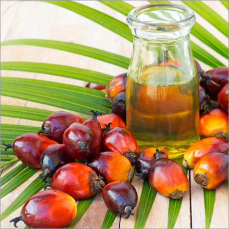 Palm Oil